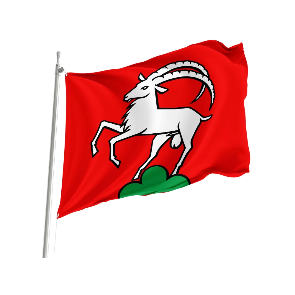 Remigen Flag for Indoor & Outdoor Use