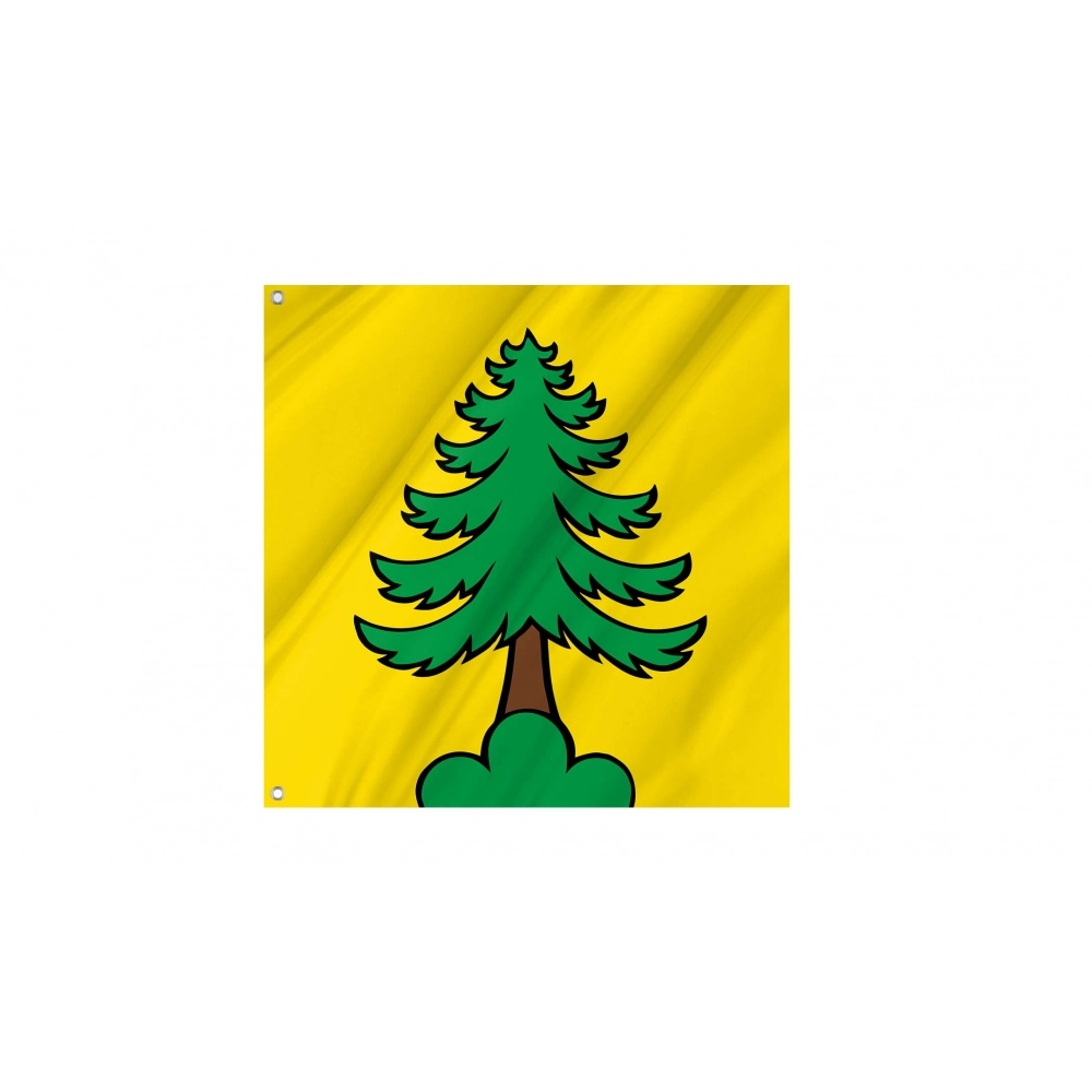 Riniken Flag for Indoor & Outdoor Use