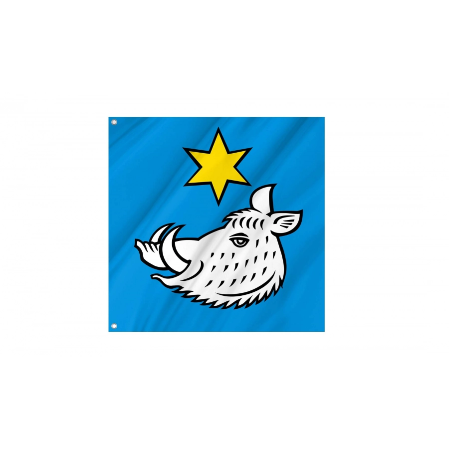 Safenwil Flag for Indoor & Outdoor Use, AG142