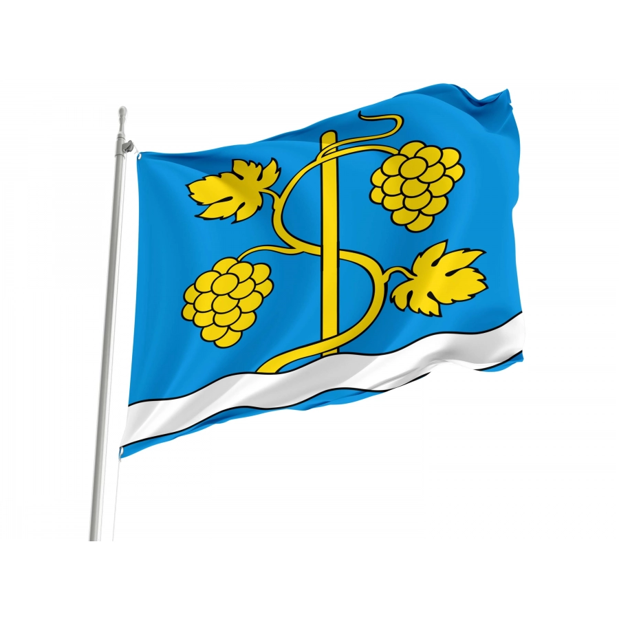 Schinznach Flag for Indoor & Outdoor Use, AG145