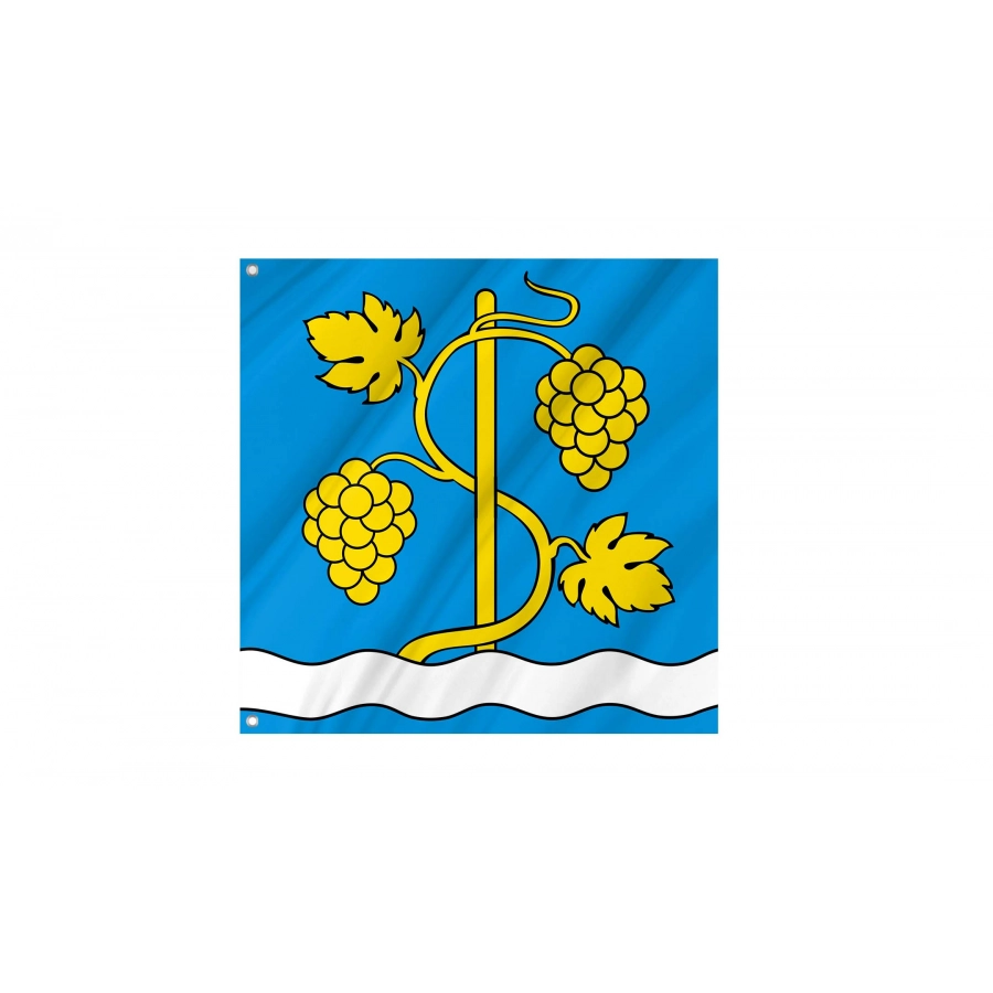 Schinznach Flag for Indoor & Outdoor Use, AG145