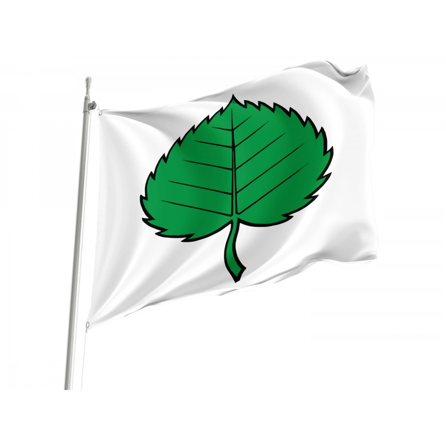 Schupfart Flag for Indoor & Outdoor Use, AG150