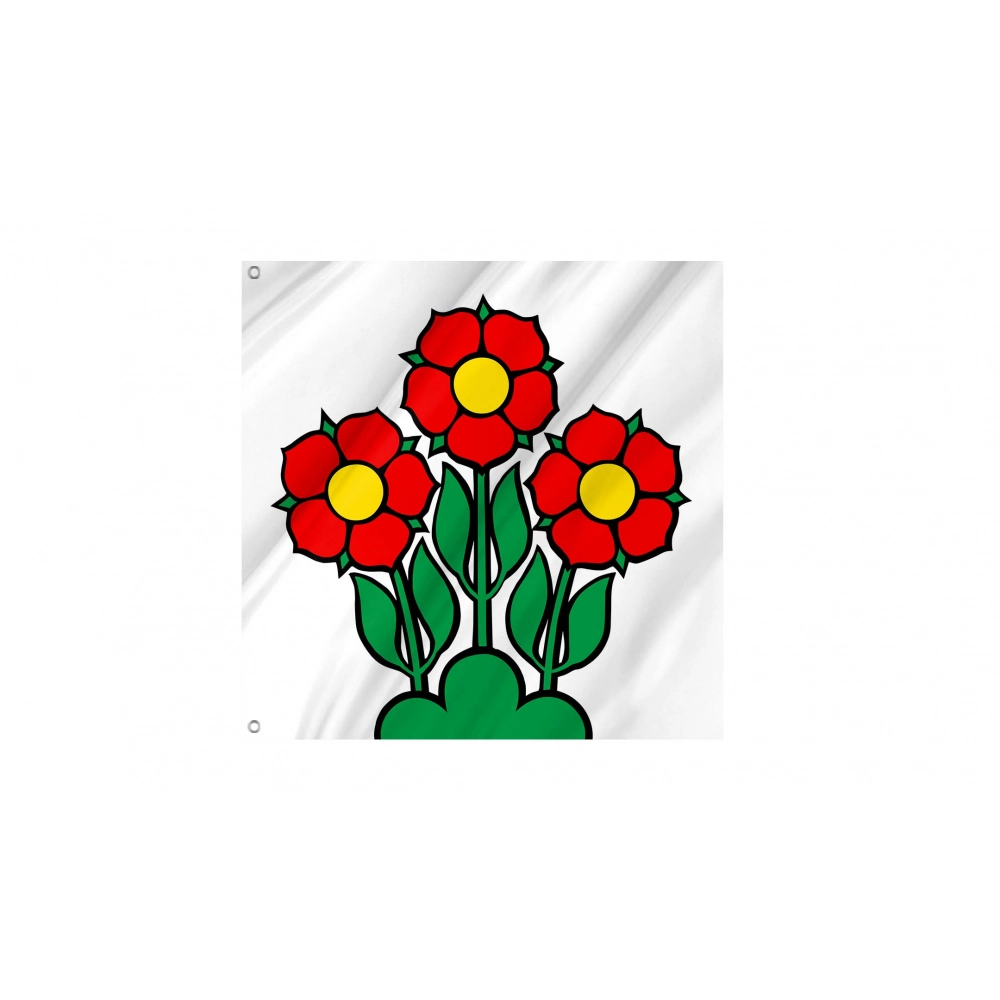 Sins Flag for Indoor & Outdoor Use