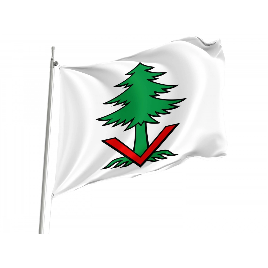 Vordemwald Flag for Indoor & Outdoor Use, AG177