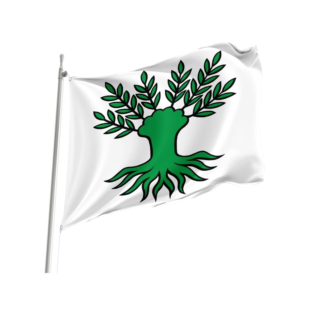 Widen Flag for Indoor & Outdoor Use