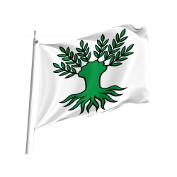 Widen Flag for Indoor & Outdoor Use