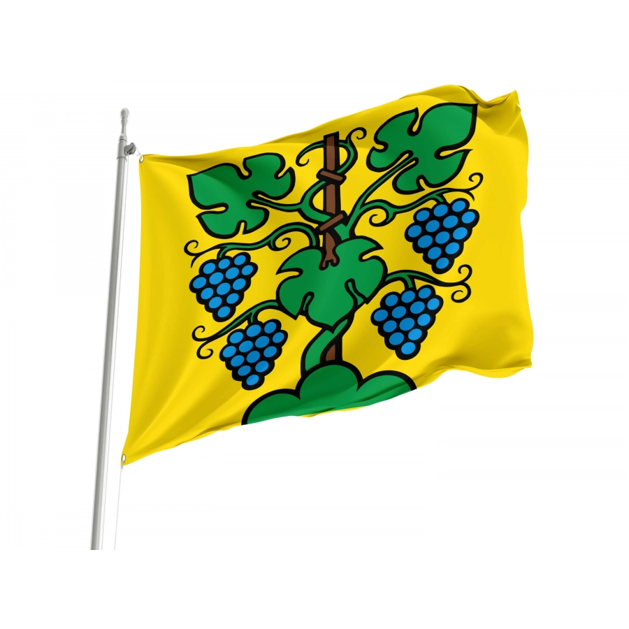 Zeiningen Flag for Indoor & Outdoor Use, AG192