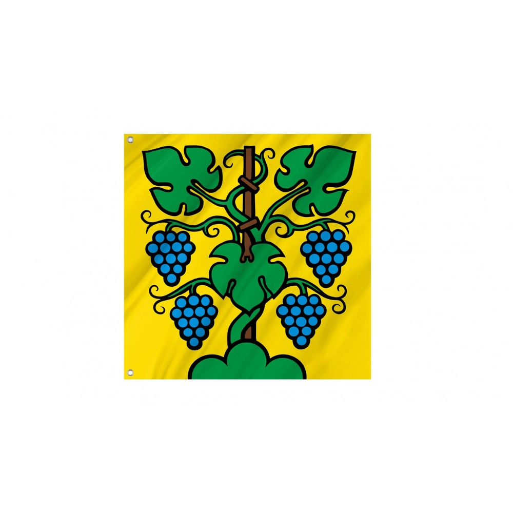 Zeiningen Flag for Indoor & Outdoor Use