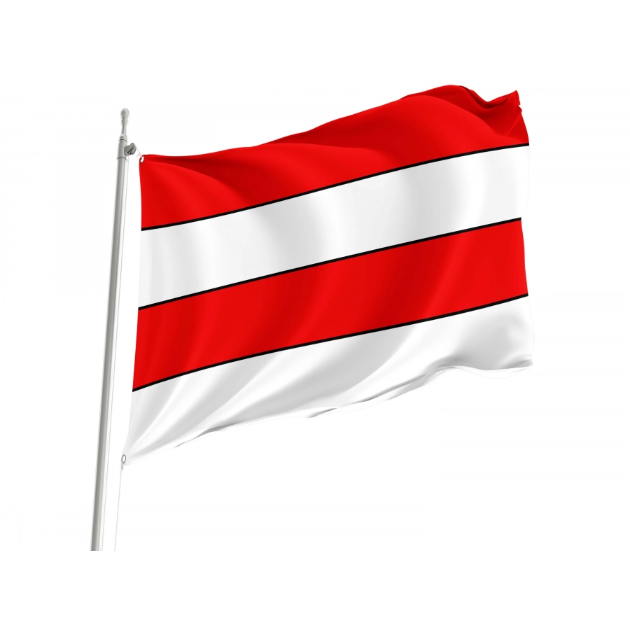 Zofingen Flag for Indoor & Outdoor Use, AG194