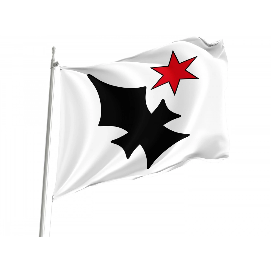 Aesch Flag for Indoor & Outdoor Use, BL02