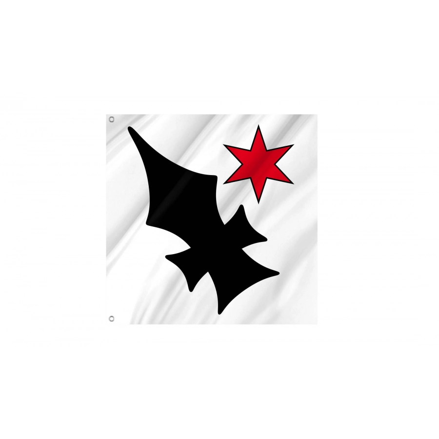 Aesch Flag for Indoor & Outdoor Use, BL02