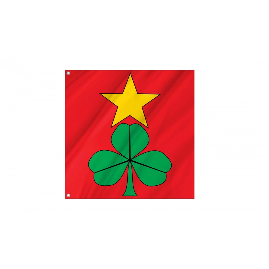 Bannwil Flag for Indoor & Outdoor Use, BE16