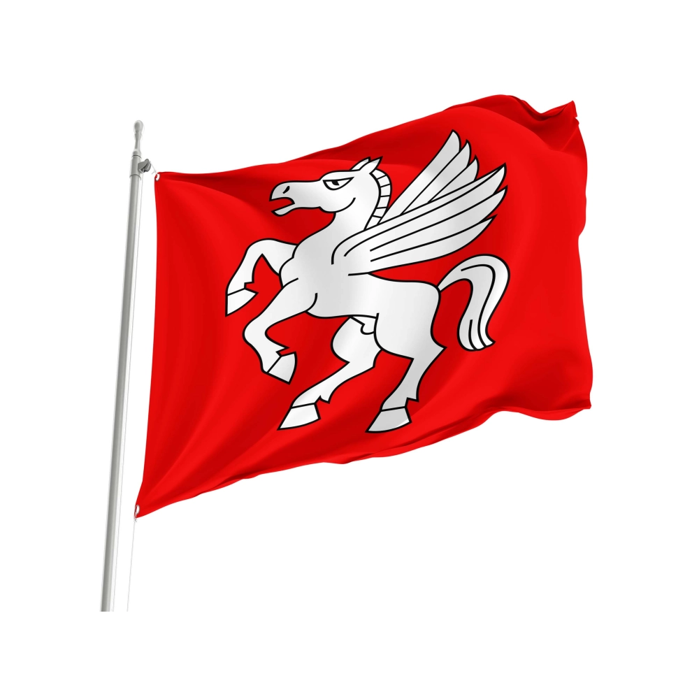 Bargen Flag for Indoor & Outdoor Use