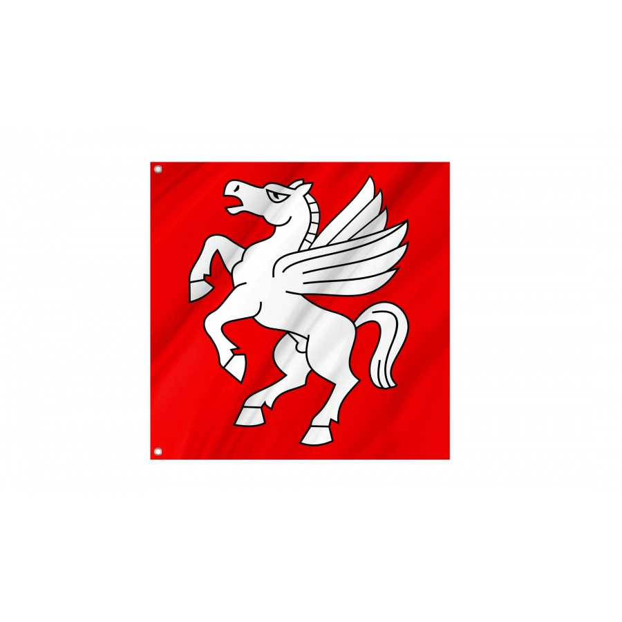 Bargen Flag for Indoor & Outdoor Use, BE17