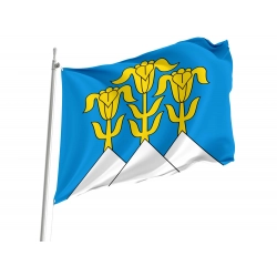 Blumenstein Flag for Indoor & Outdoor Use