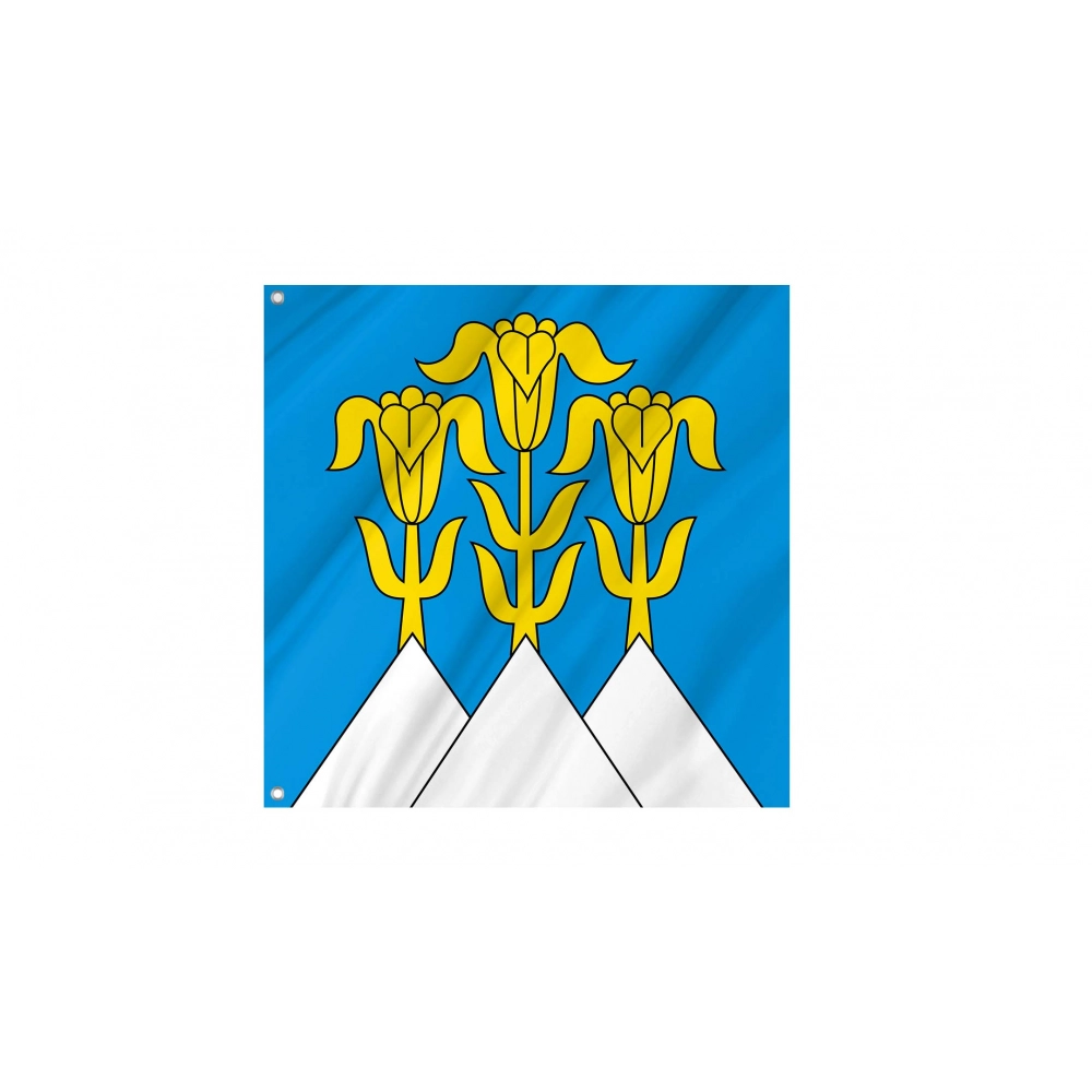 Blumenstein Flag for Indoor & Outdoor Use