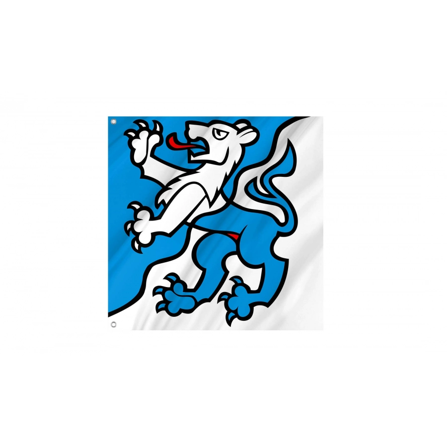 Brienz Flag for Indoor & Outdoor Use, BE25