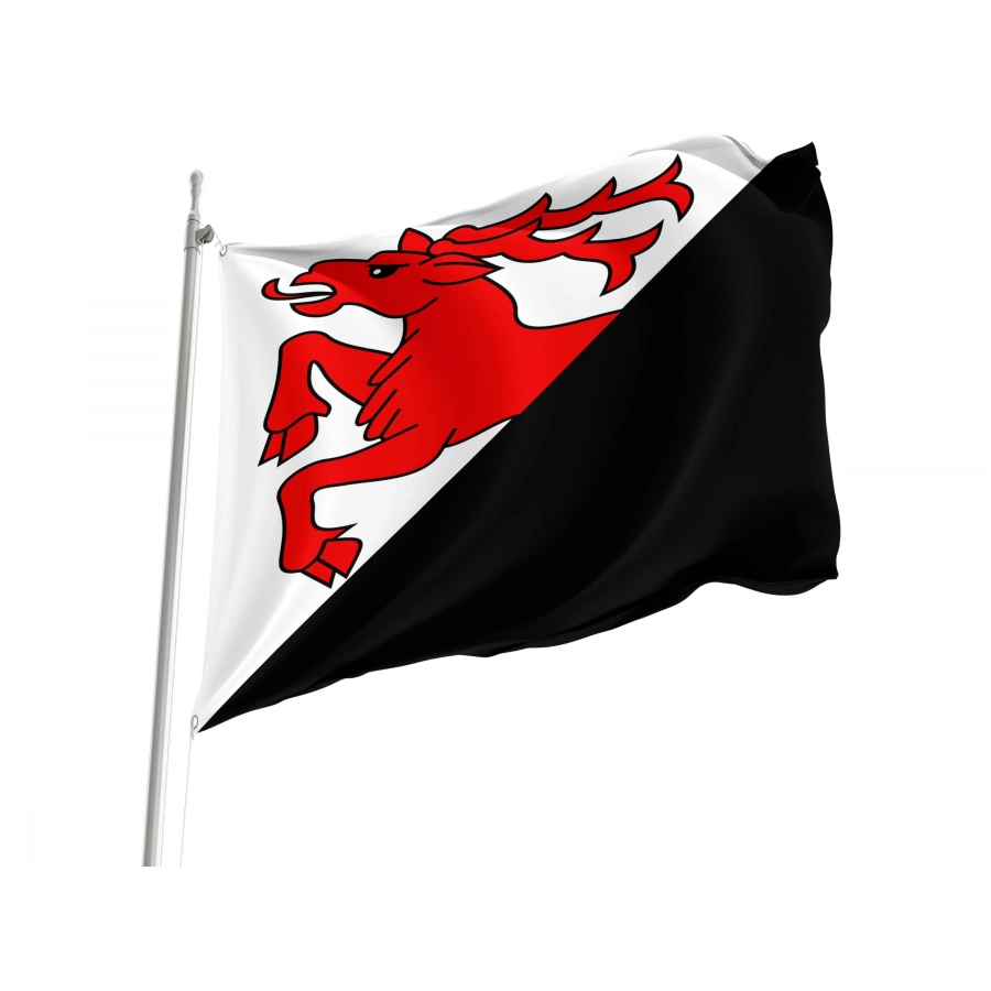 Burgistein Flag for Indoor & Outdoor Use, BE45