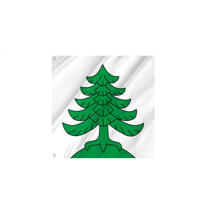 Busswil bei Melchnau Flag for Indoor & Outdoor Use, BE46