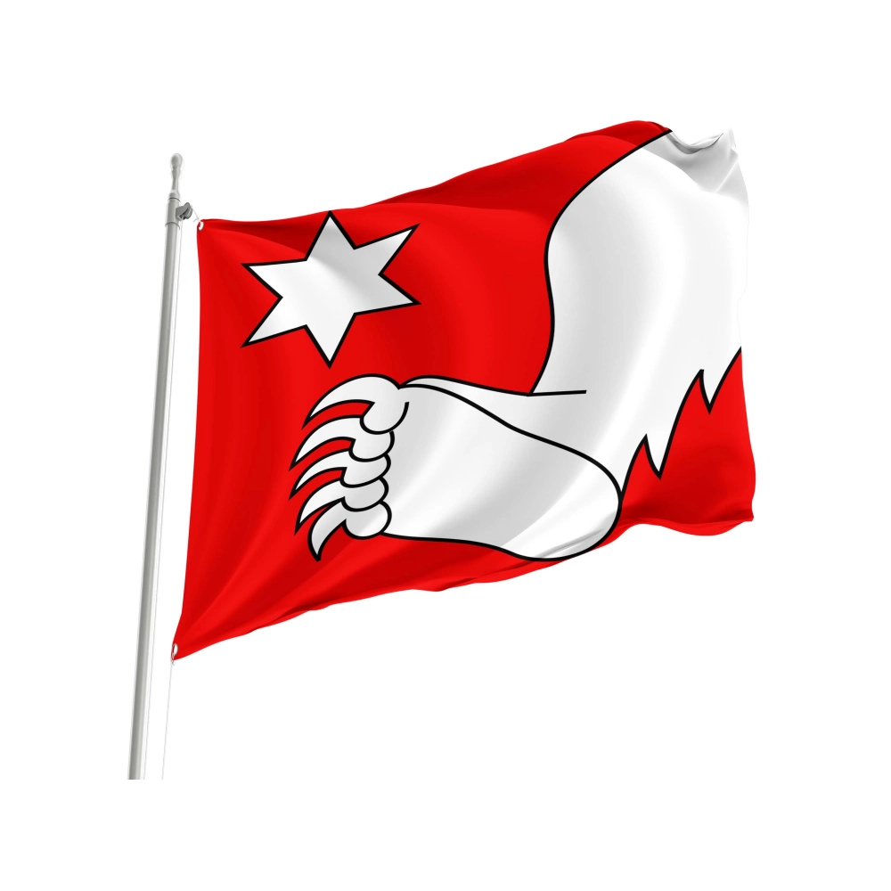 Büetigen Flag for Indoor & Outdoor Use