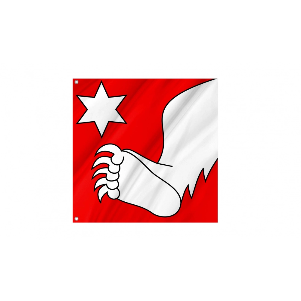 Büetigen Flag for Indoor & Outdoor Use