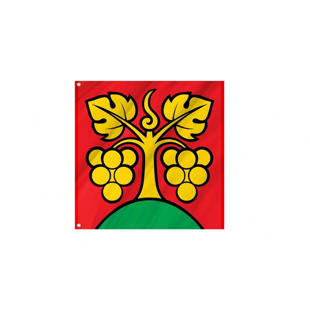 Bühl bei Aarberg Flag for Indoor & Outdoor Use