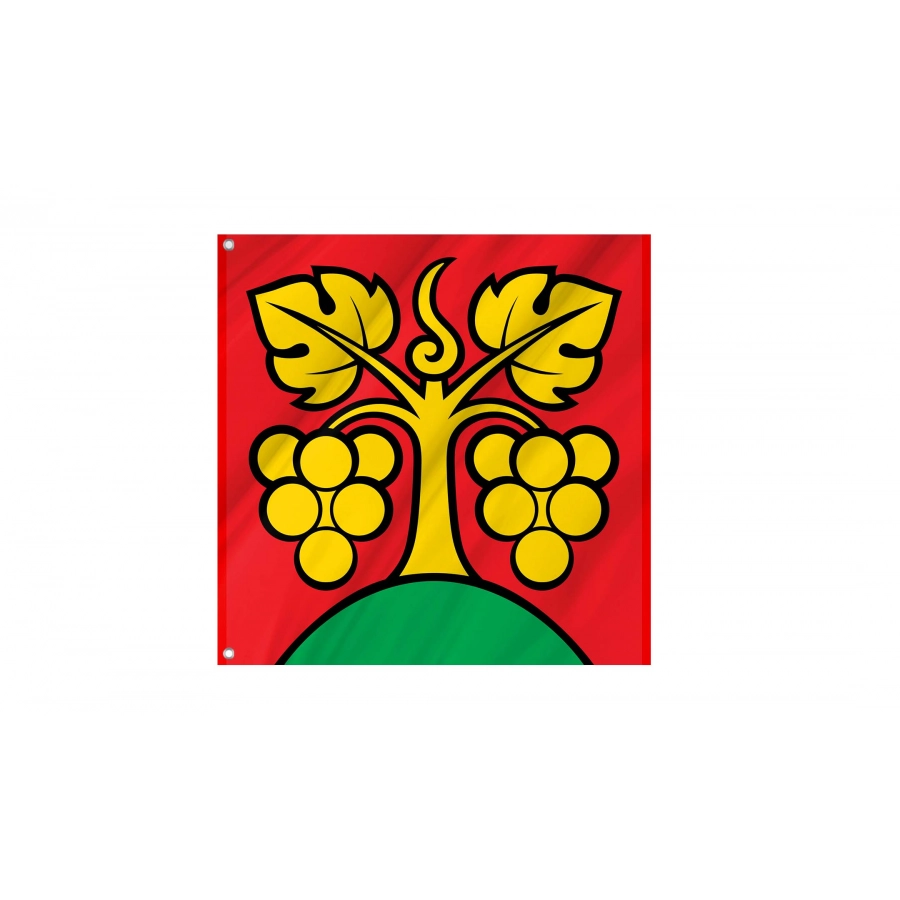 Bühl bei Aarberg Flag for Indoor & Outdoor Use, BE26