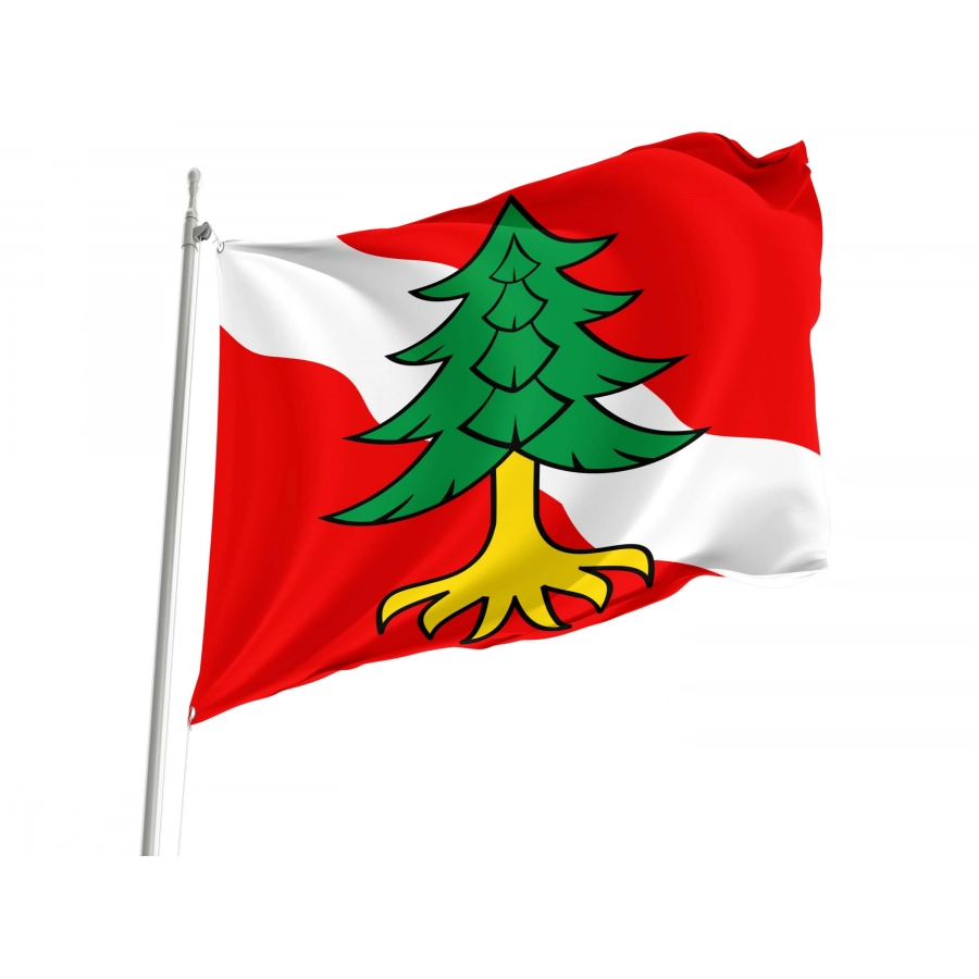 Eriz Flag for Indoor & Outdoor Use, BE65