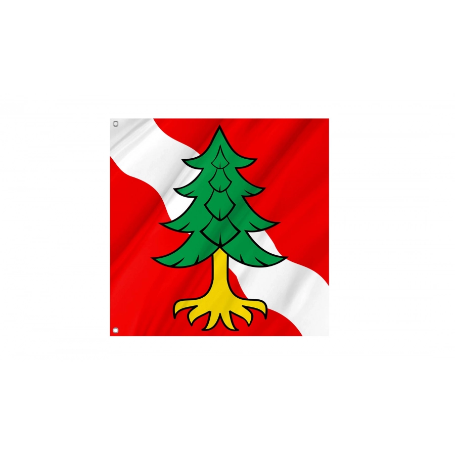 Eriz Flag for Indoor & Outdoor Use, BE65