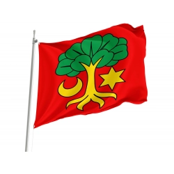 Erlach Flag for Indoor & Outdoor Use