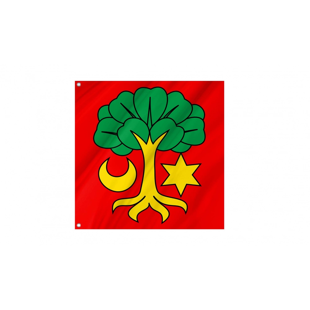 Erlach Flag for Indoor & Outdoor Use