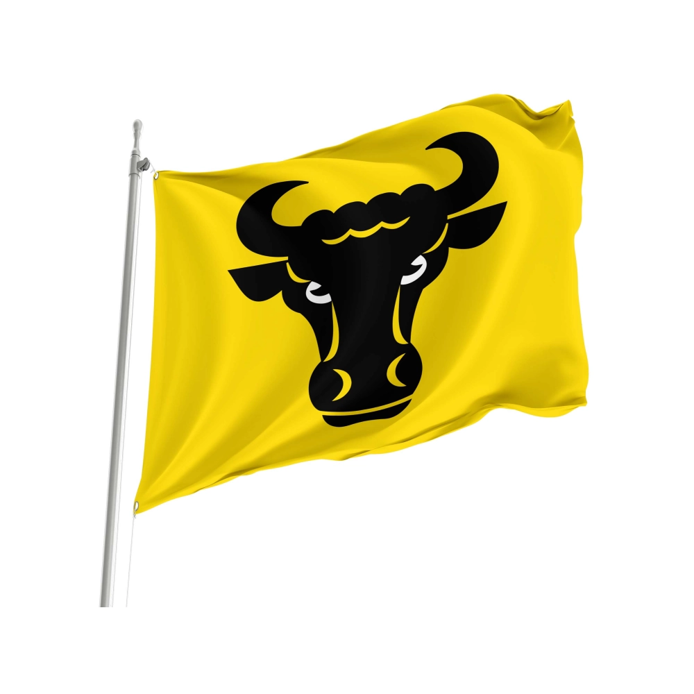 Evilard Flag for Indoor & Outdoor Use