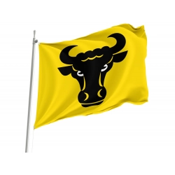 Evilard Flag for Indoor & Outdoor Use