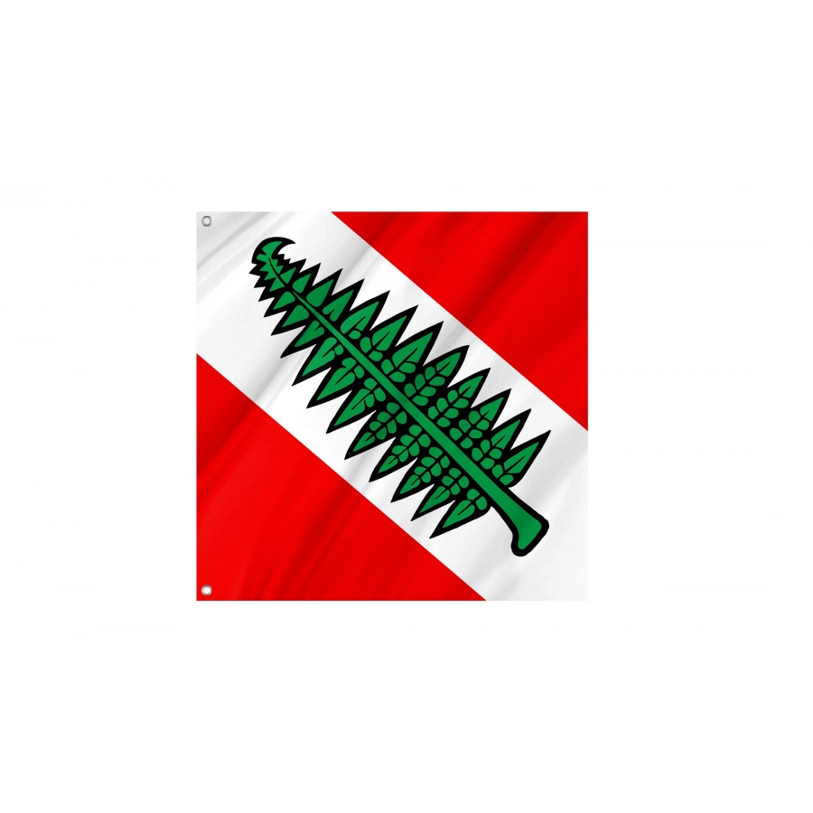 Fahrni Flag for Indoor & Outdoor Use, BE71