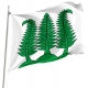 Farnern Flag for Indoor & Outdoor Use - Imagine 1