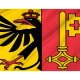 Geneva Flag for Indoor & Outdoor Use - Imagine 1