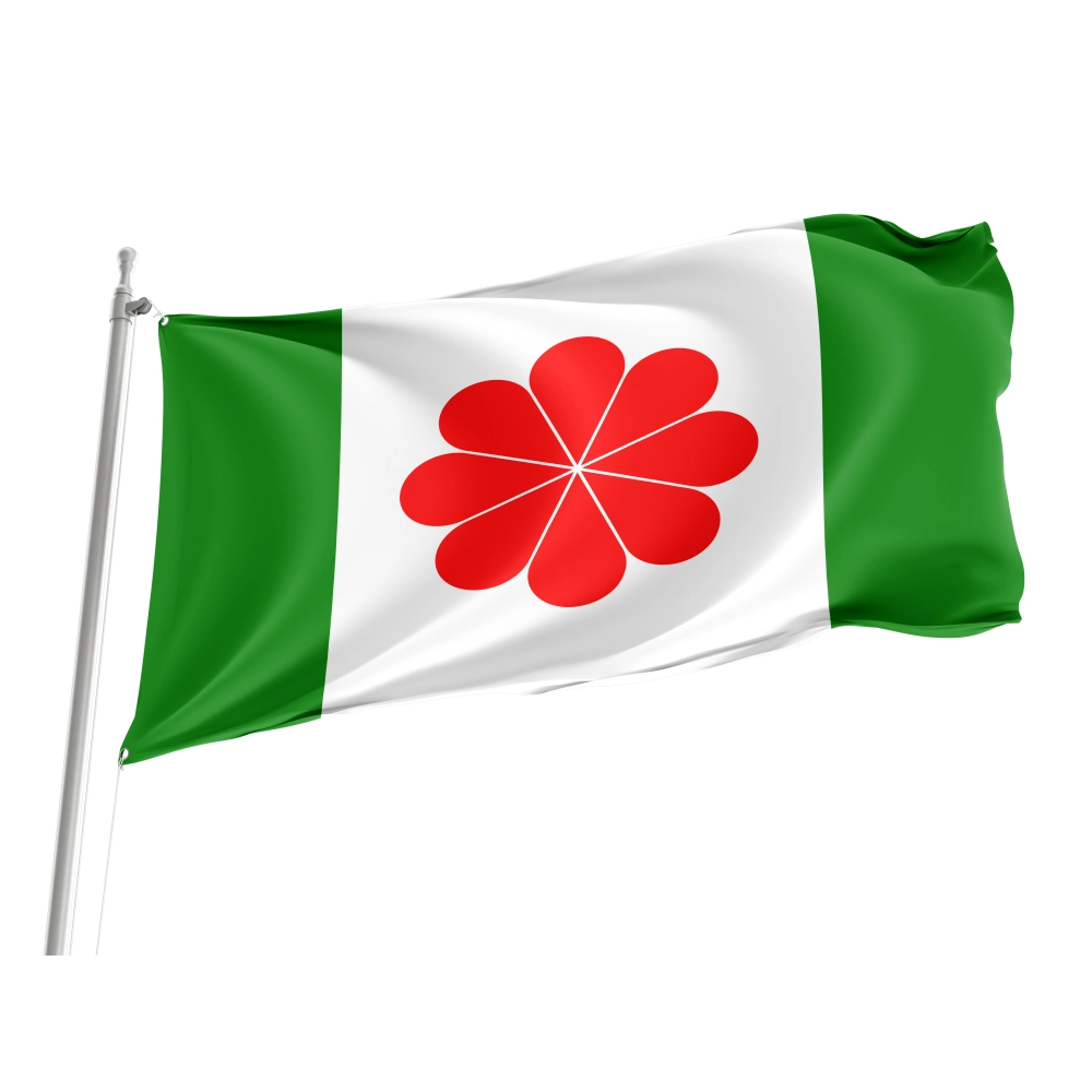 Proposed Flag of Taiwan for Indoor & Outdoor Use Proposed Flag of Taiwan for Indoor & Outdoor Use