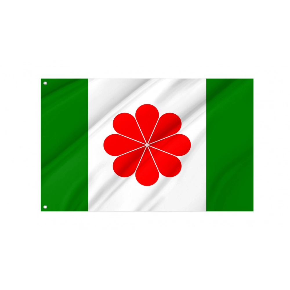 Proposed Flag of Taiwan for Indoor & Outdoor Use Proposed Flag of Taiwan for Indoor & Outdoor Use