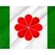 Proposed Flag of Taiwan for Indoor & Outdoor Use - Imagine 2