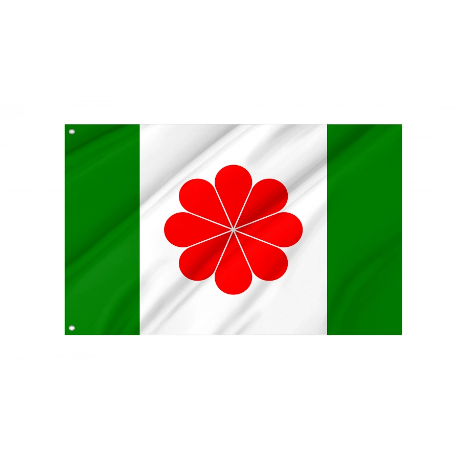 Proposed Flag of Taiwan, Patriotic Flags, Unique Design Print, Flags for Indoor & Outdoor Use