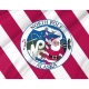 North Pole Alaska Flag for Indoor & Outdoor Use - Imagine 2