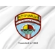 Winslow City Flag for Indoor & Outdoor Use - Imagine 2