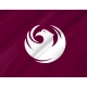 Phoenix, AZ Flag for Indoor & Outdoor Use - Imagine 2