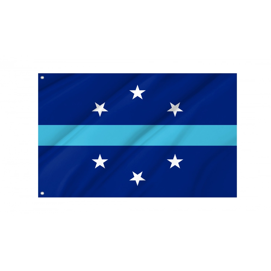 Flag of Anaheim, California, Patriotic Flags, Unique Design Print, Flags for Indoor & Outdoor Use