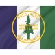Palo Alto Flag for Indoor & Outdoor Use - Imagine 2