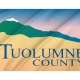 Tuolumne County Flag for Indoor & Outdoor Use - Imagine 2