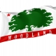 Woodland, California Flag for Indoor & Outdoor Use - Imagine 1