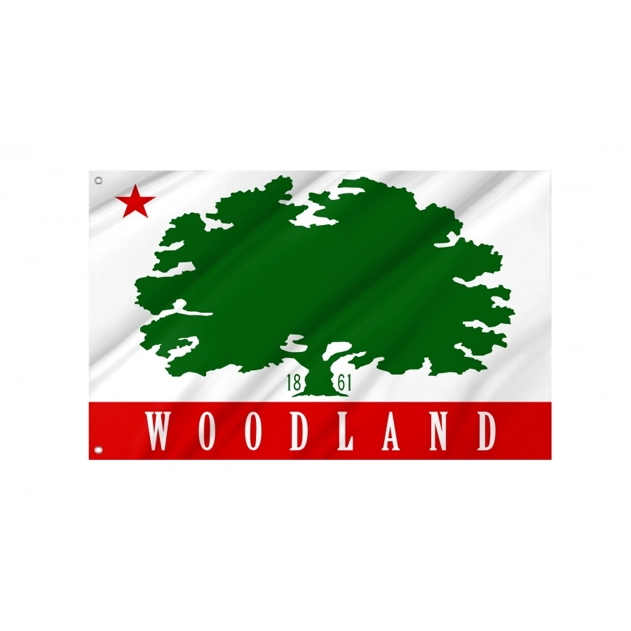 Flag of Woodland, California, Patriotic Flags, Unique Design Print, Flags for Indoor & Outdoor Use