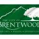 Brentwood Flag for Indoor & Outdoor Use - Imagine 2