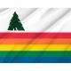 Santa Cruz County, California Flag for Indoor & Outdoor Use - Imagine 2
